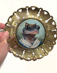 Mrs. Southern Gray-Cheeked Salamander