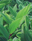 Praise for Solomon's Seal