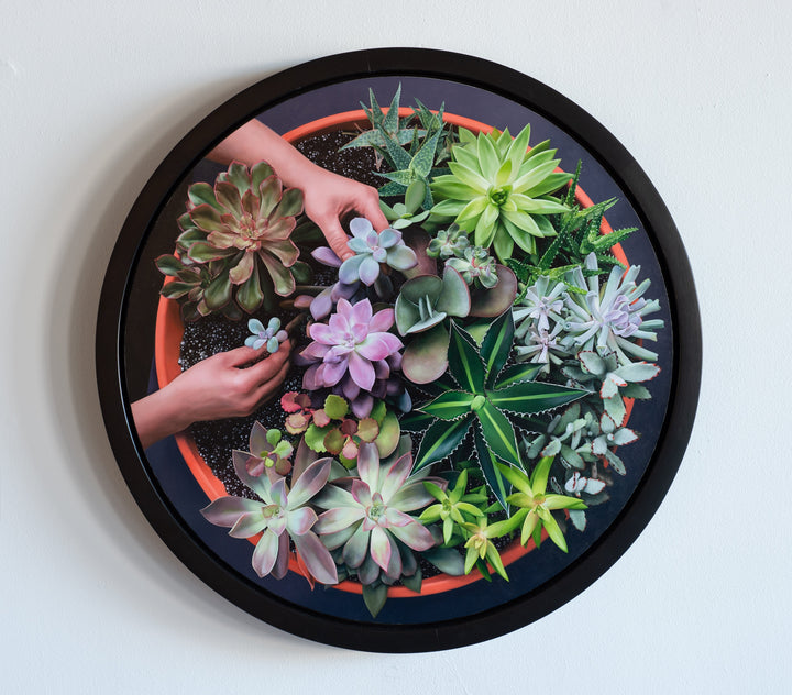 An Art Exhibit Where Nature Blooms in Unexpected Ways