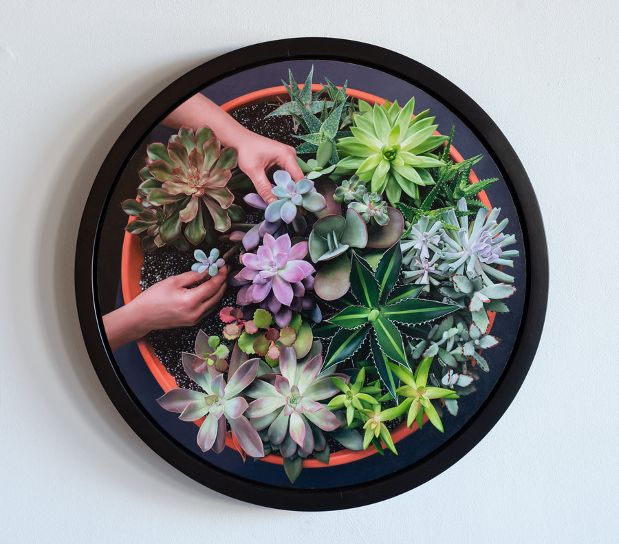 An Art Exhibit Where Nature Blooms in Unexpected Ways