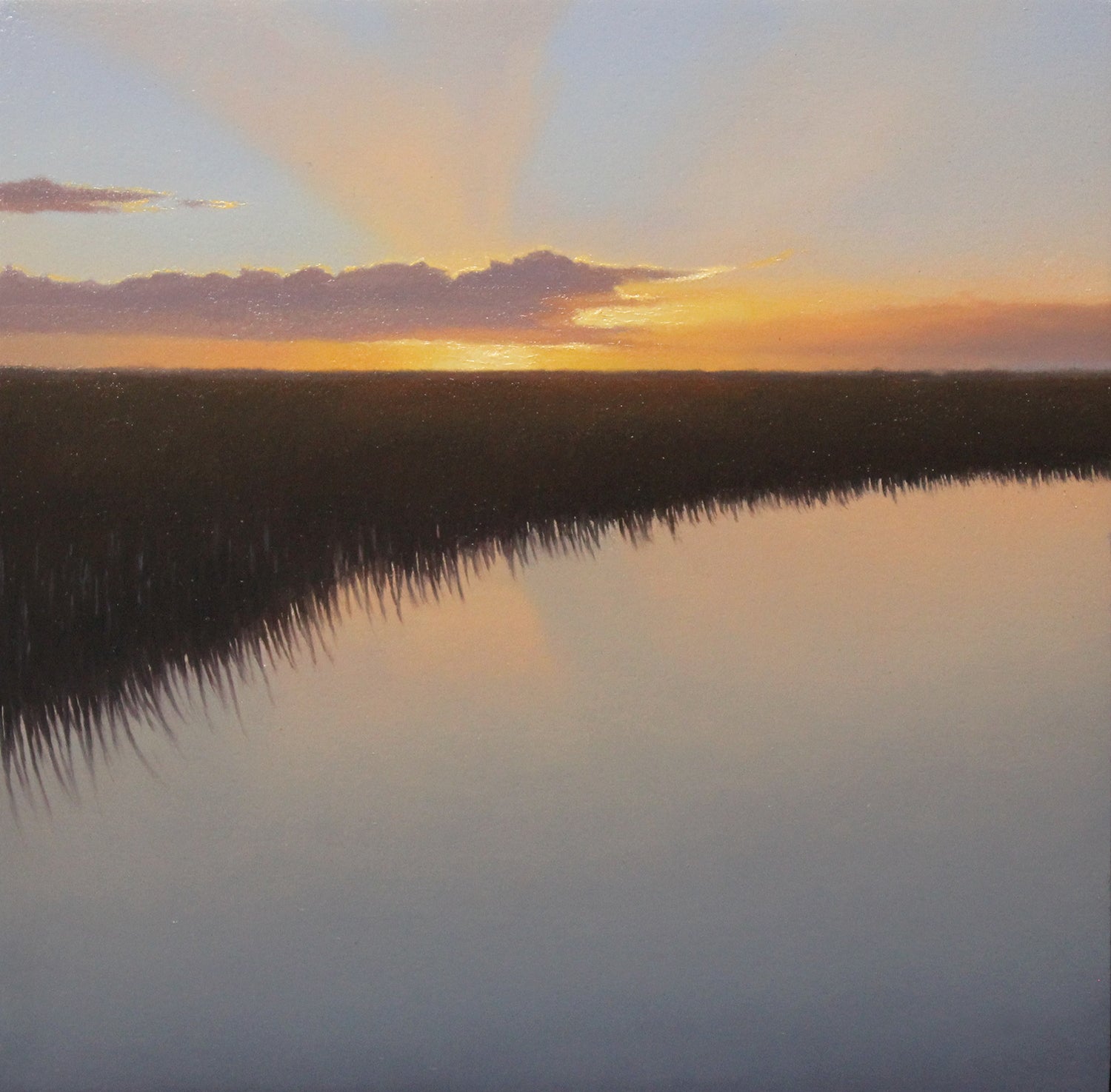 Alligator Morning (Study)