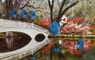 Blue Bird Bath