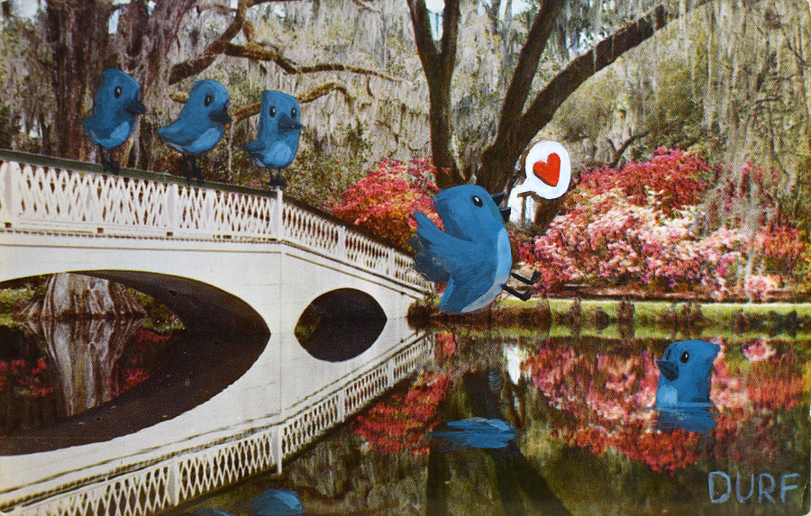 Blue Bird Bath