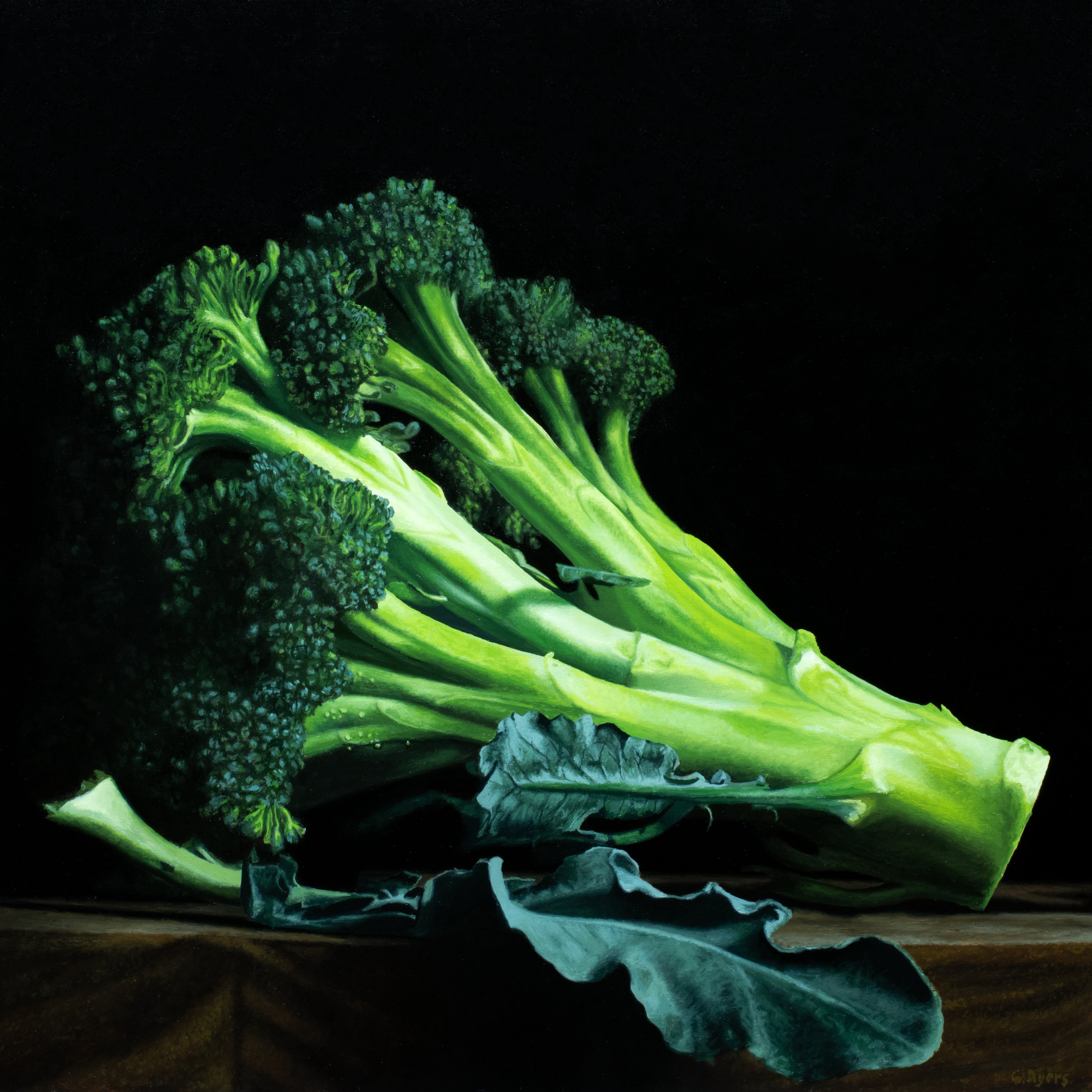 Broccoli – Robert Lange Studios