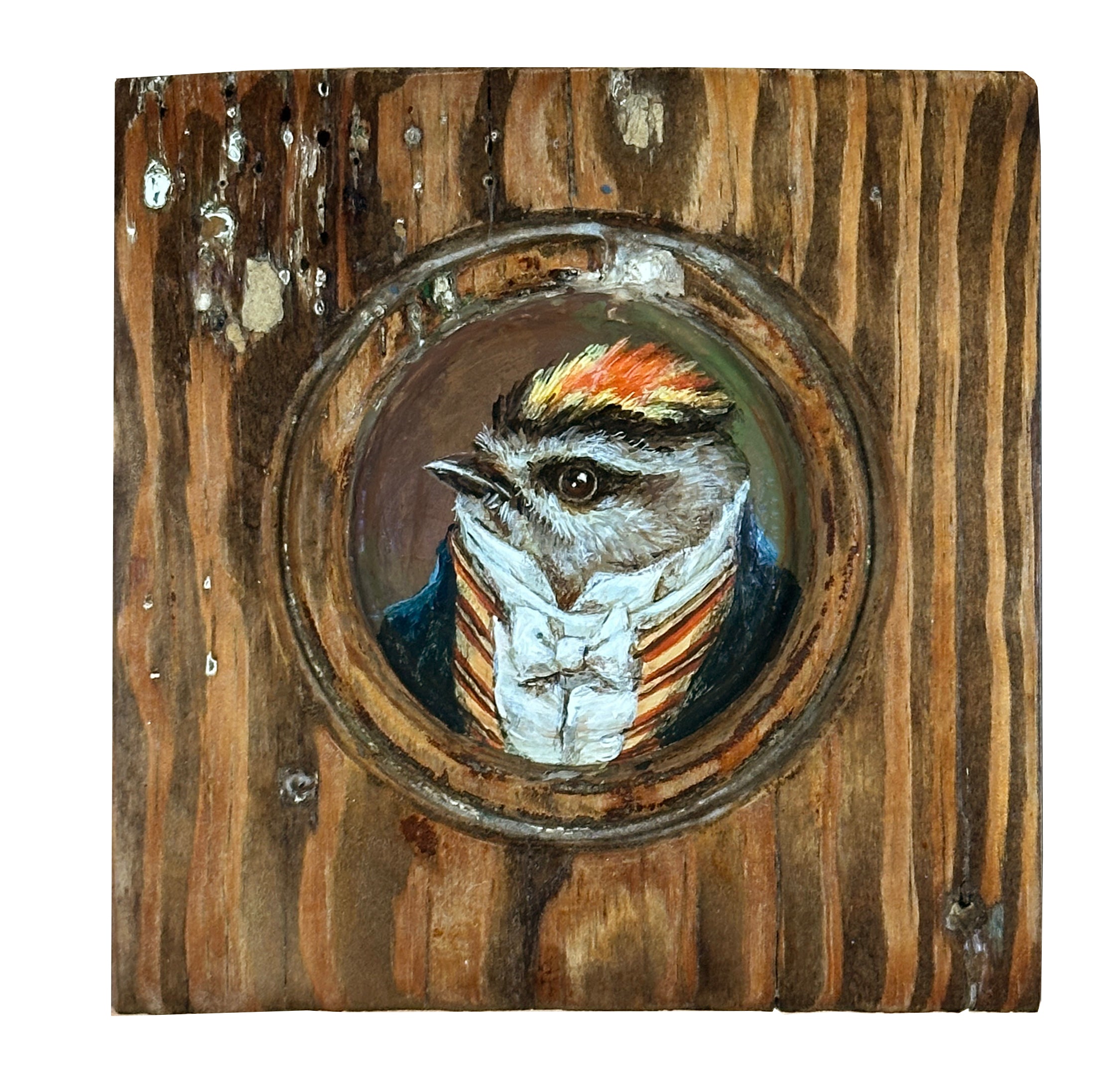 Mr. Golden Crown Kinglet