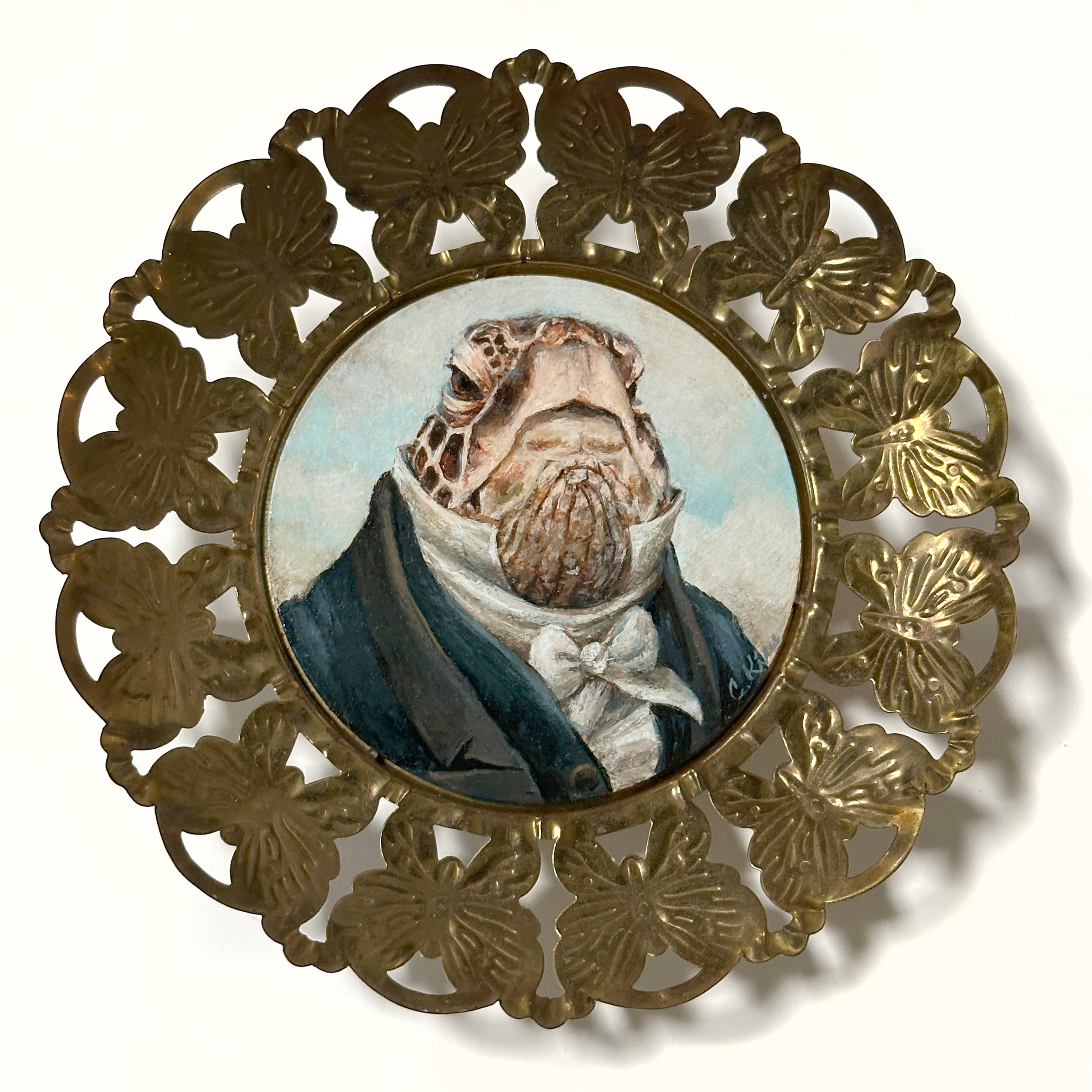 Dr. Green Sea Turtle