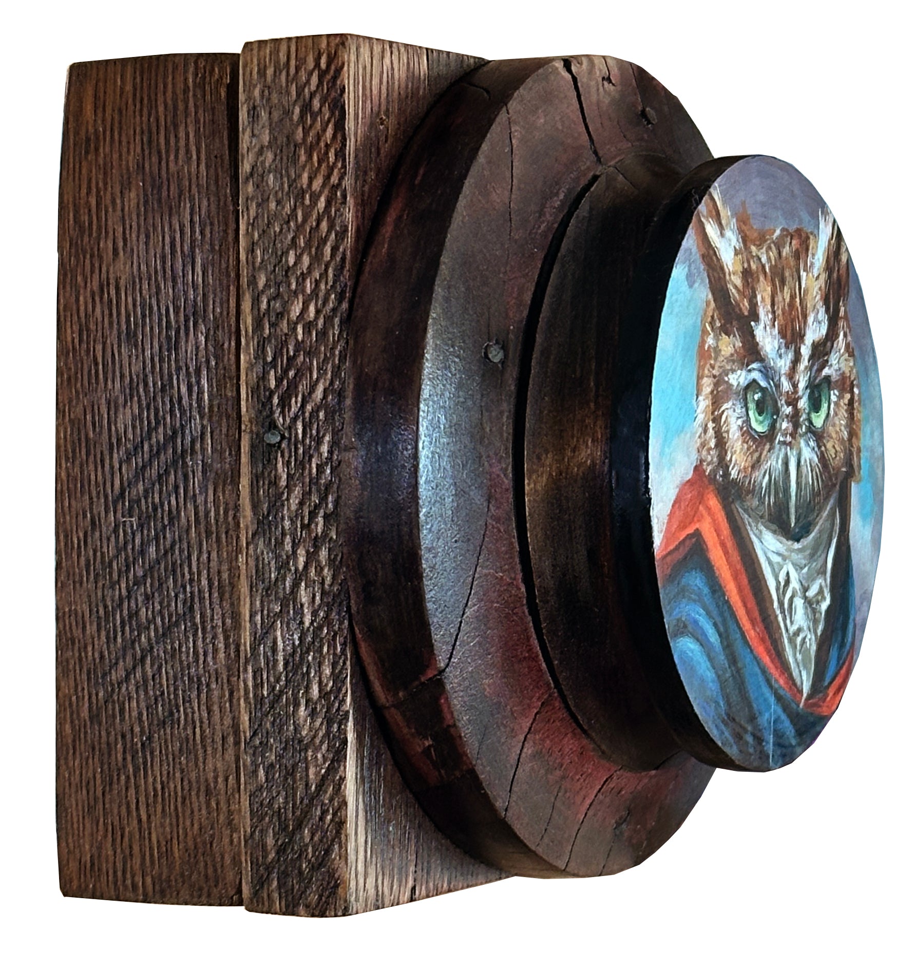 Mr. Eastern Screech Owl