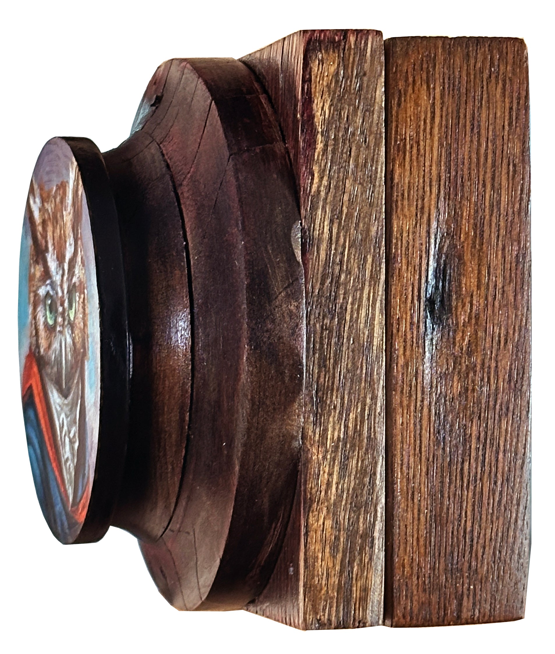 Mr. Eastern Screech Owl