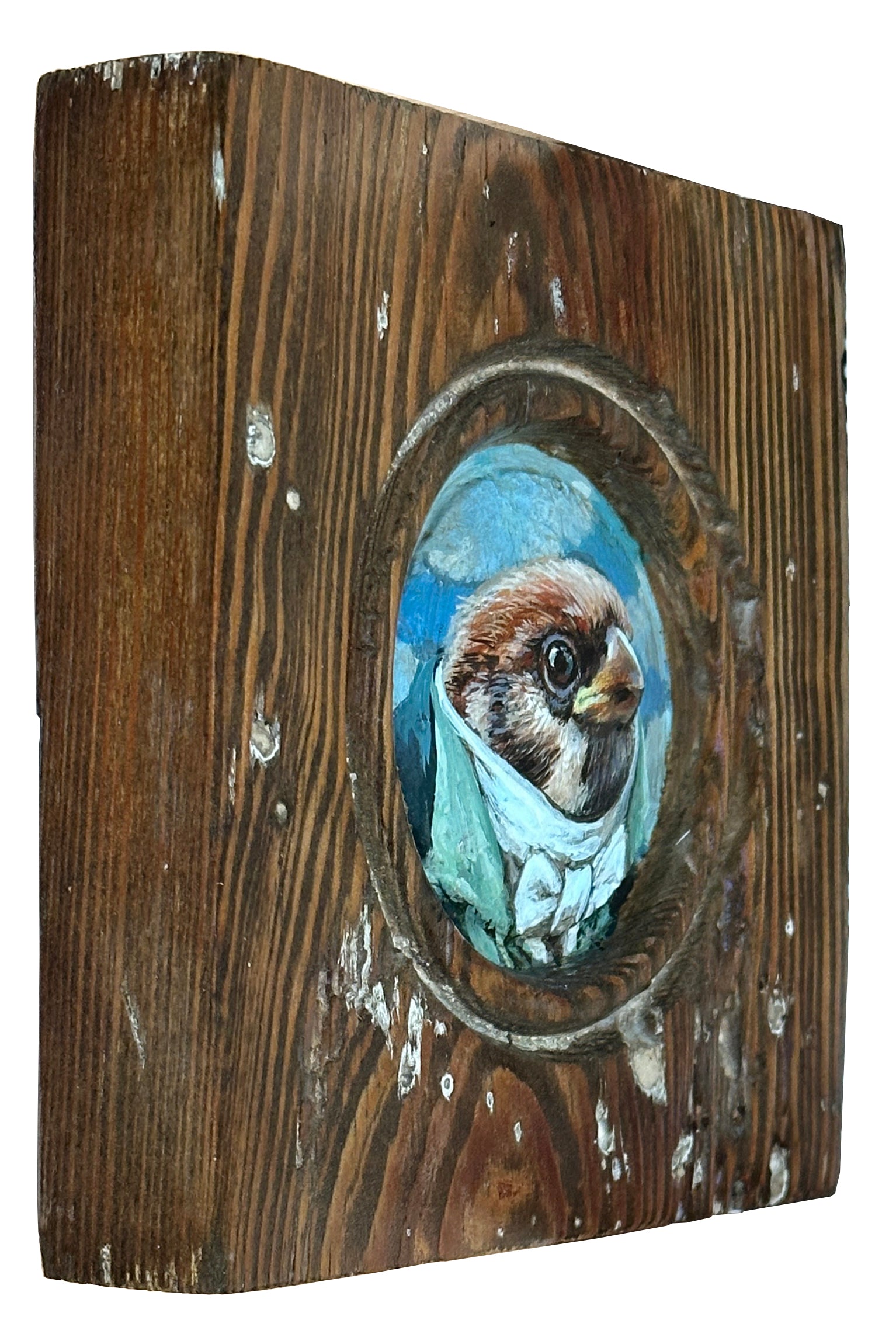 Mr. Eurasian Tree Sparrow