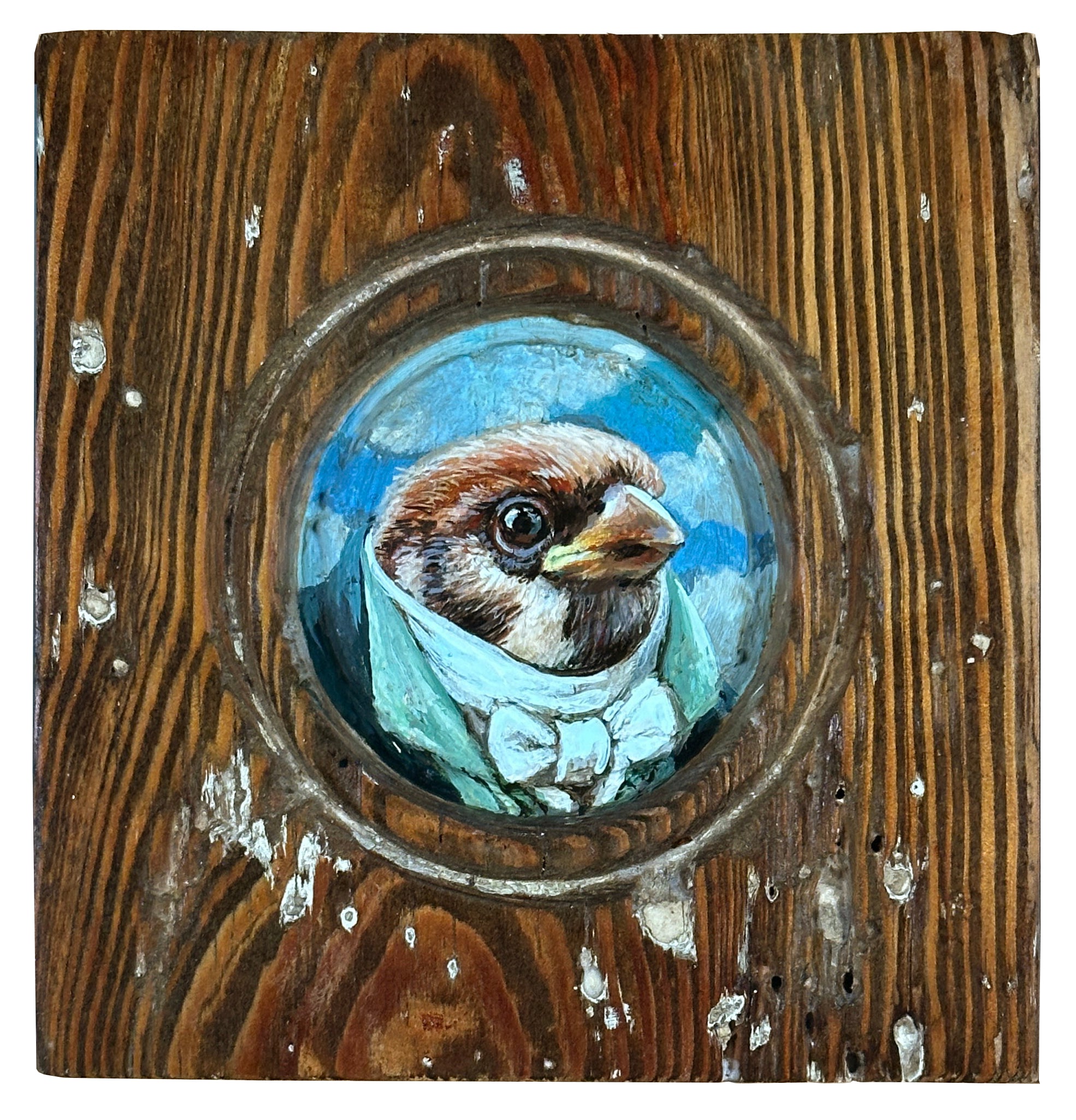 Mr. Eurasian Tree Sparrow