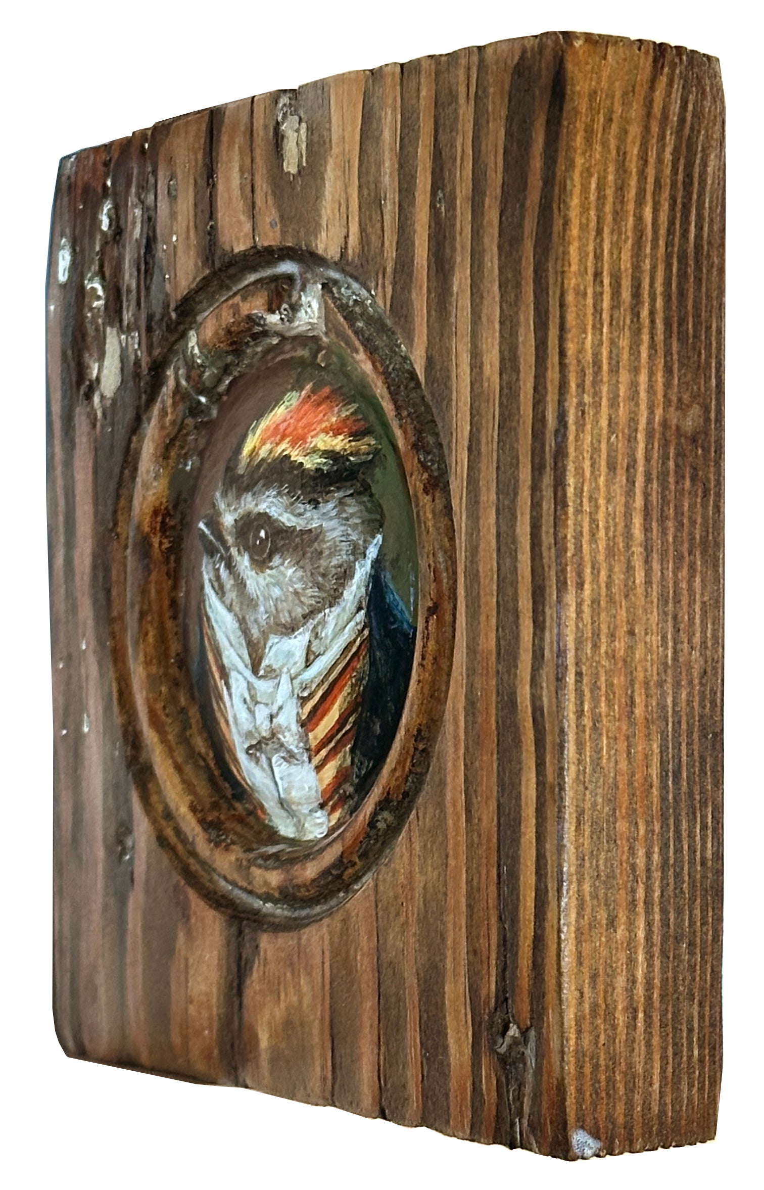 Mr. Golden Crown Kinglet