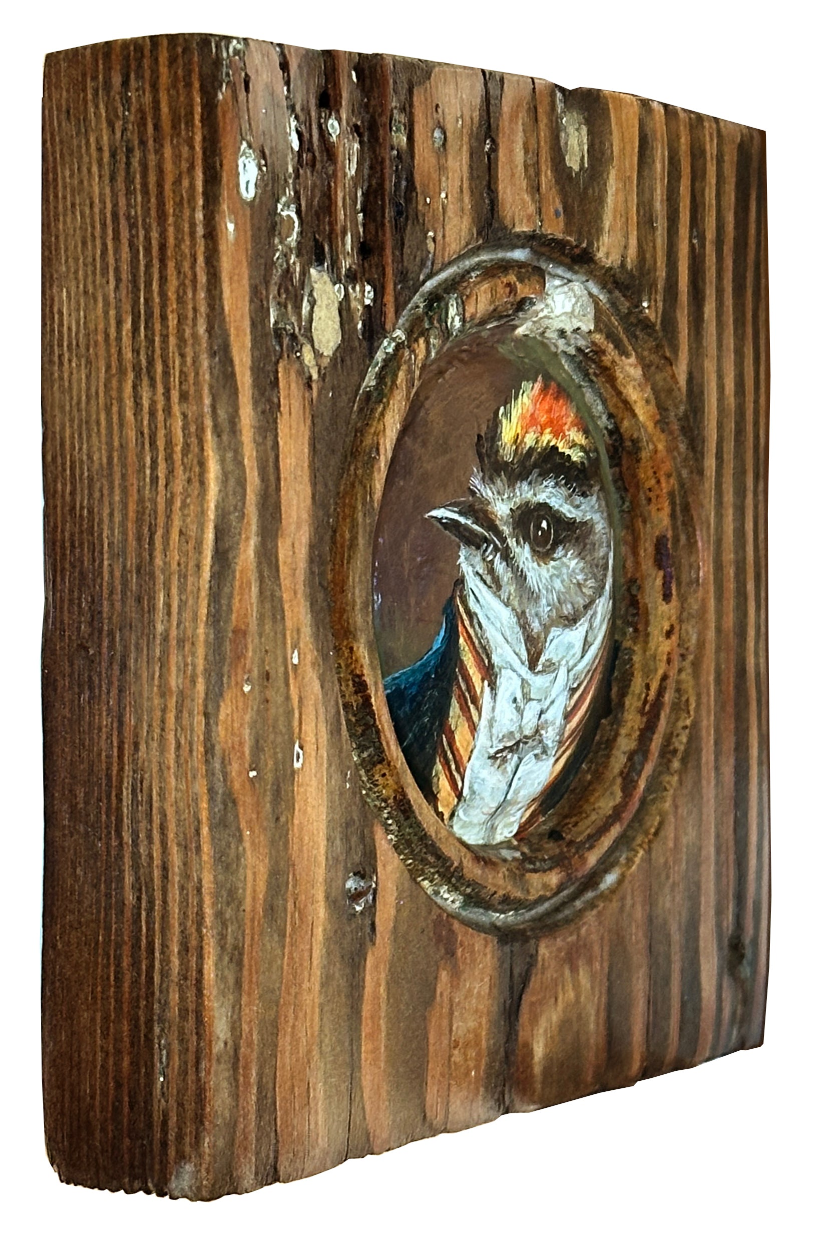 Mr. Golden Crown Kinglet