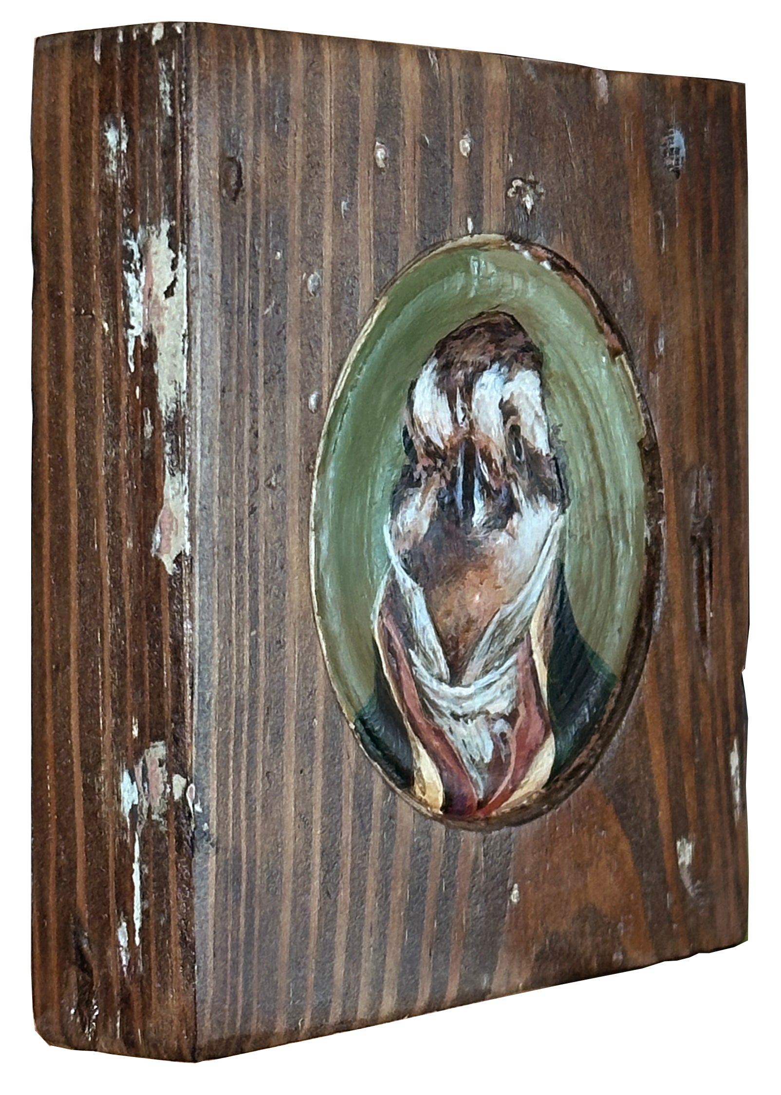 Mr. Northern Bobwhite