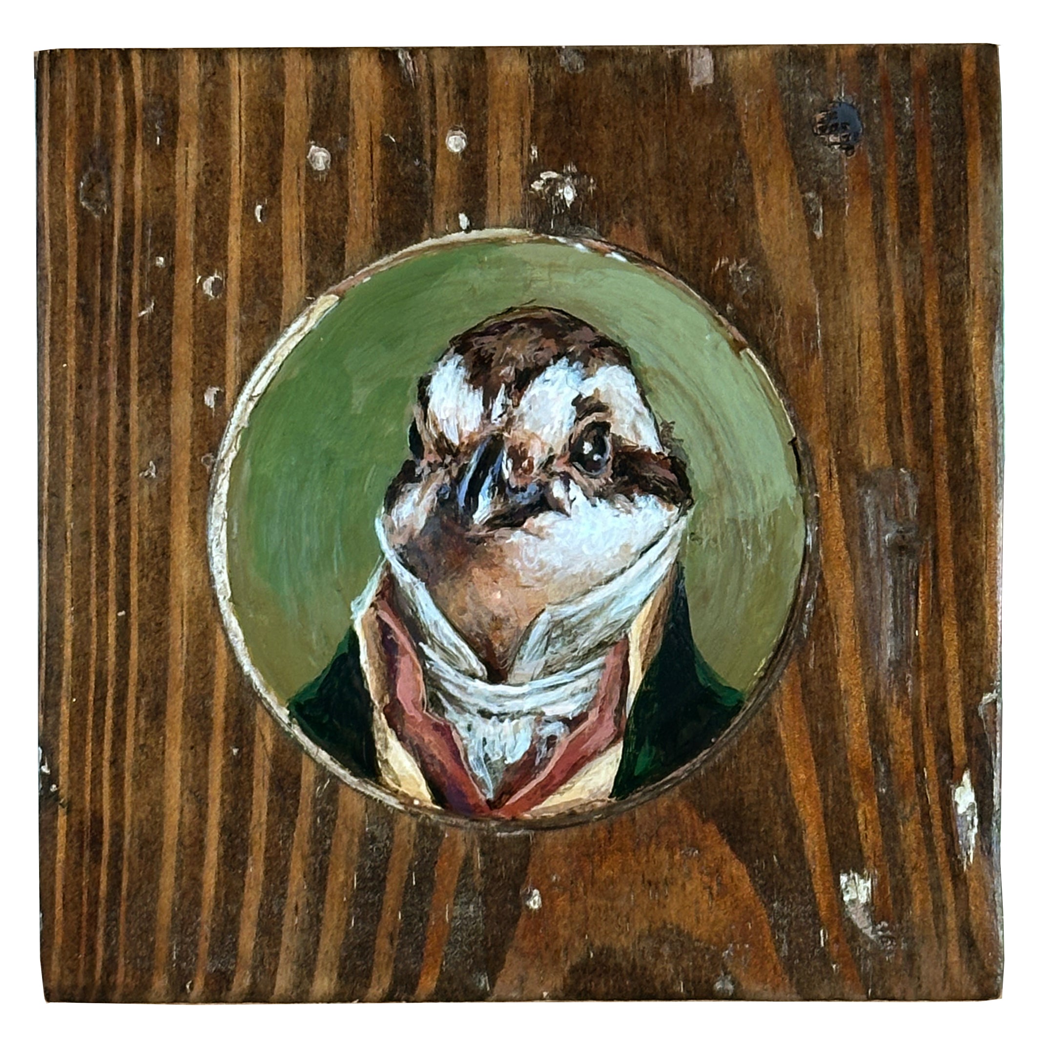 Mr. Northern Bobwhite