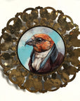 Mr. Red-Crossbill, MD