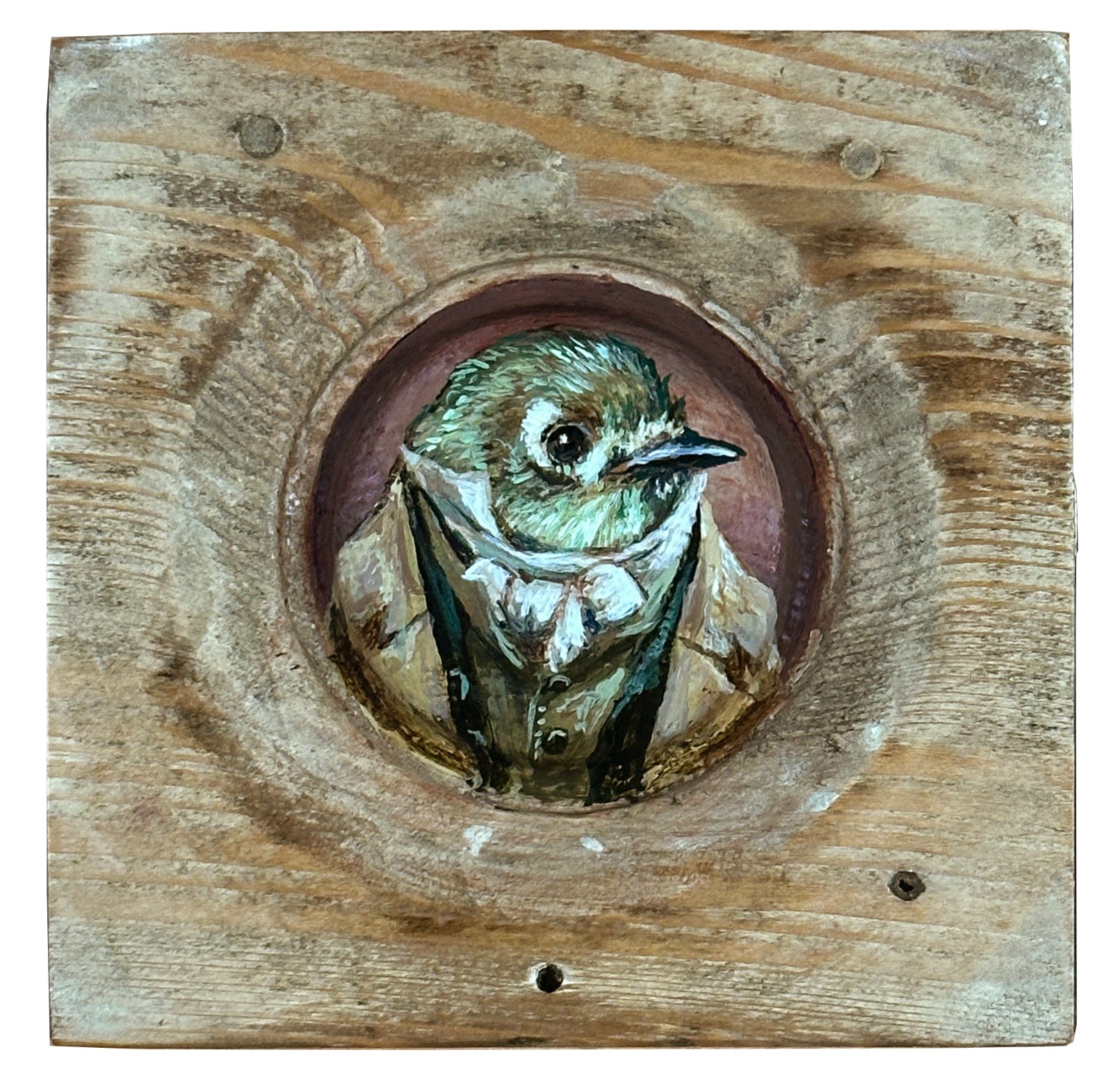 Mr. Ruby Crowned Kinglet