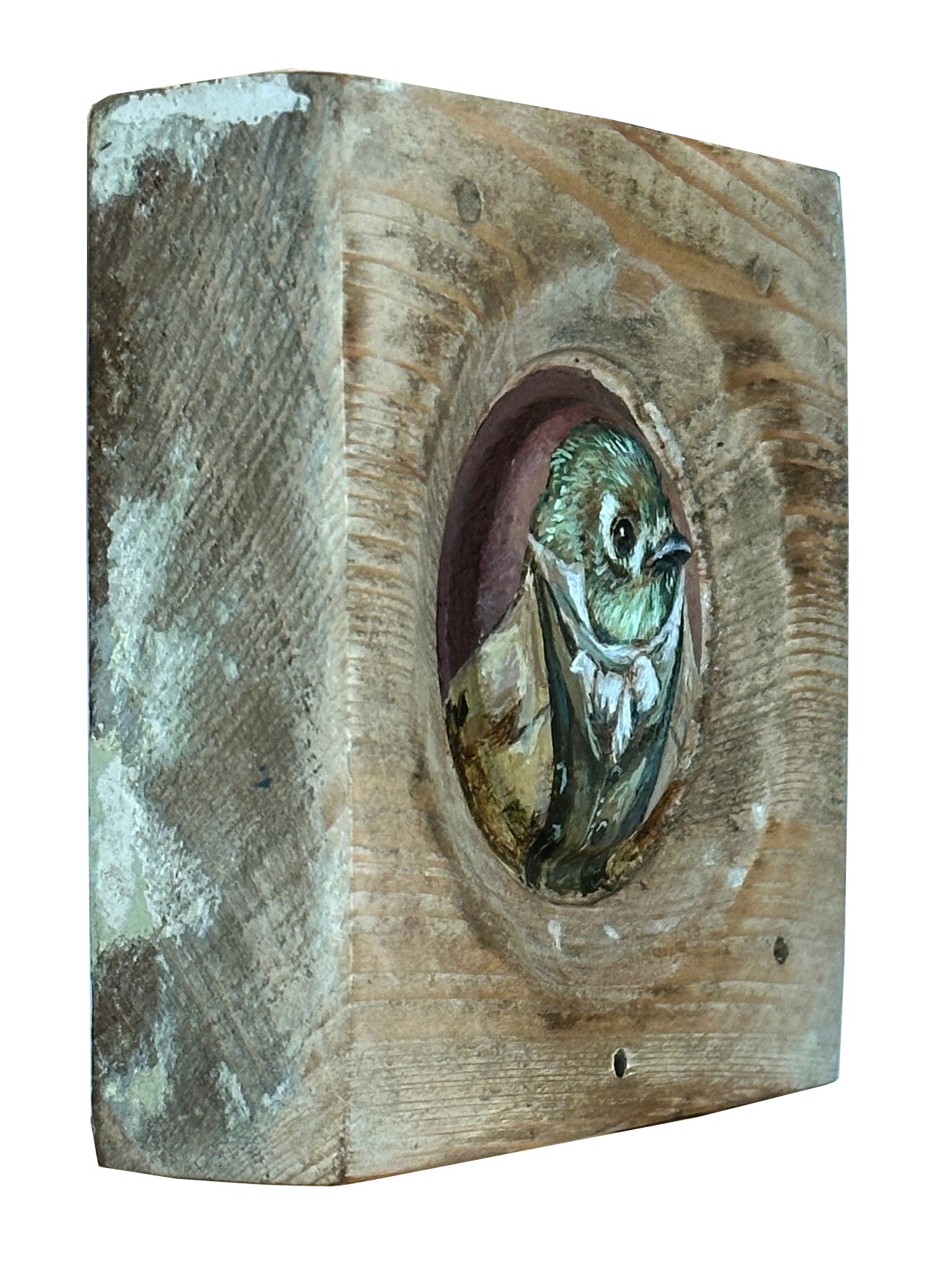 Mr. Ruby Crowned Kinglet