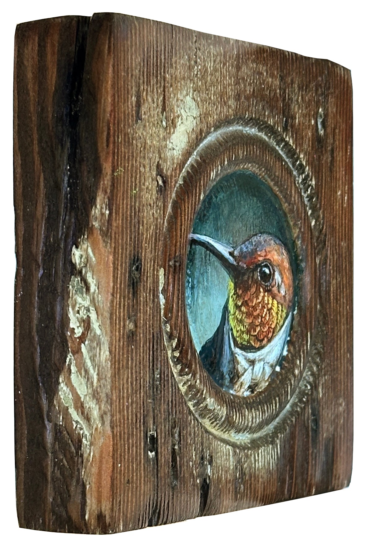 Mr. Rufous Hummingbird