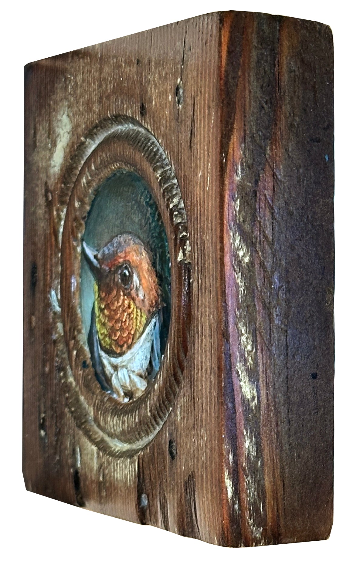 Mr. Rufous Hummingbird