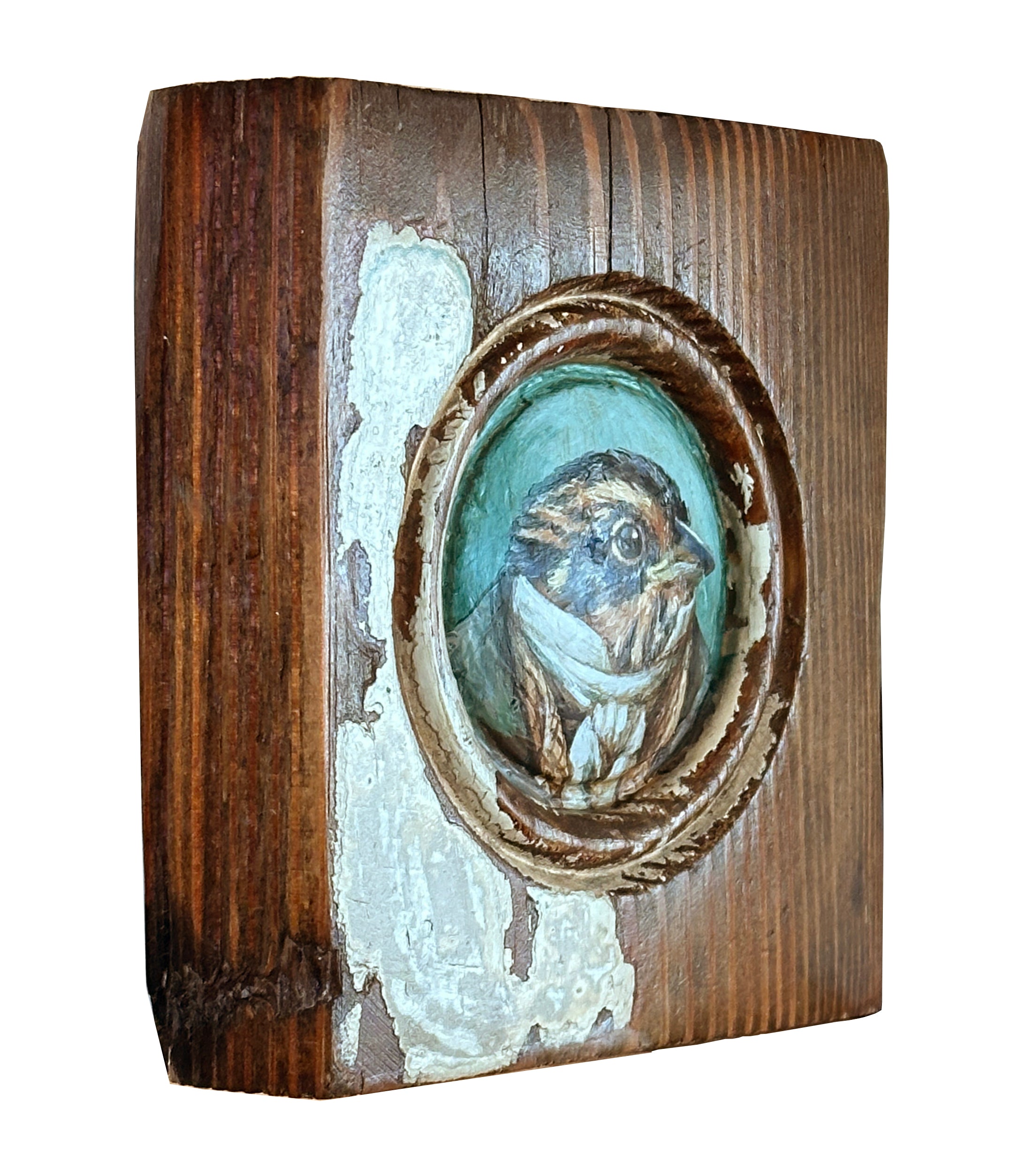 Mr. Saltmarsh Sparrow