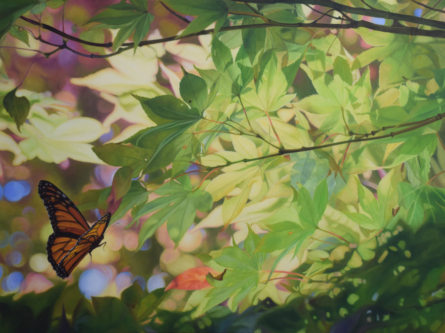 Chasing the Light