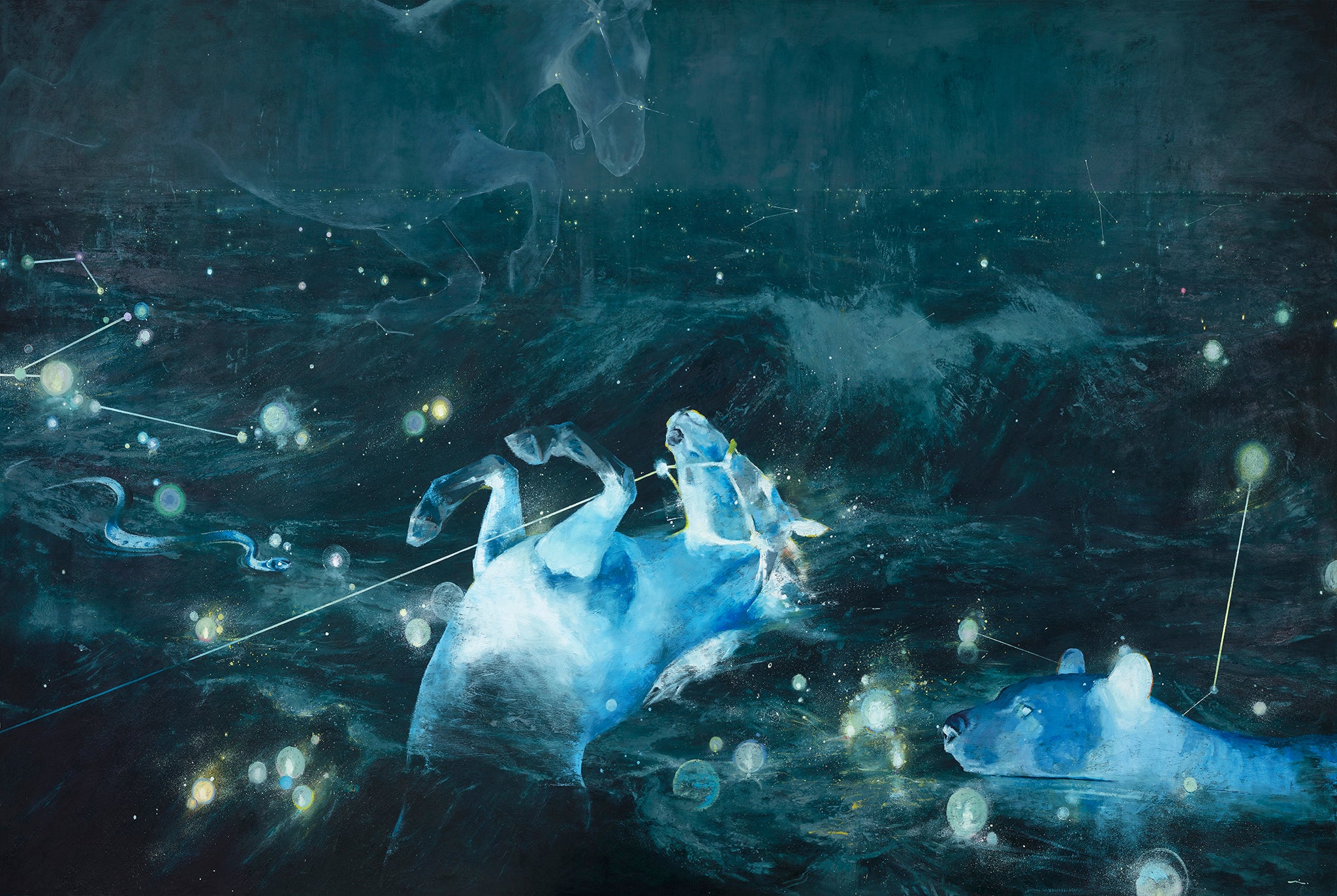 Constellation (11pm)