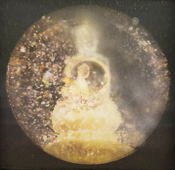 Disappearing Buddha