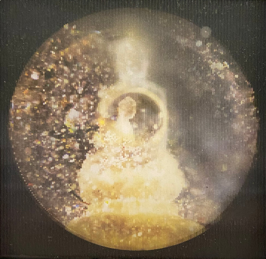 Disappearing Buddha