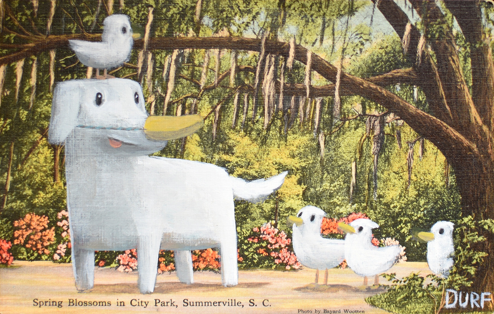 Duck Duck Dog