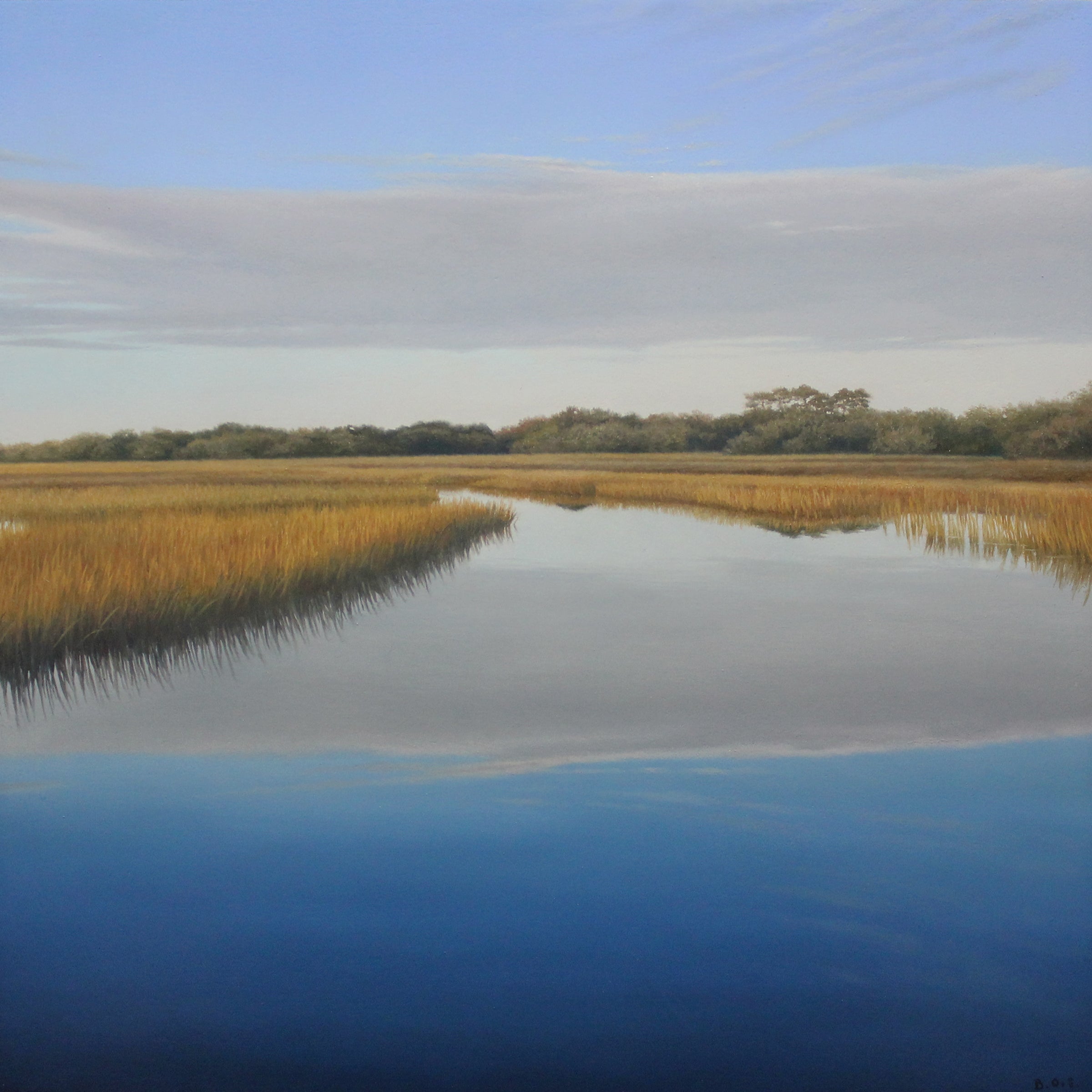 Early Spring on the Marsh