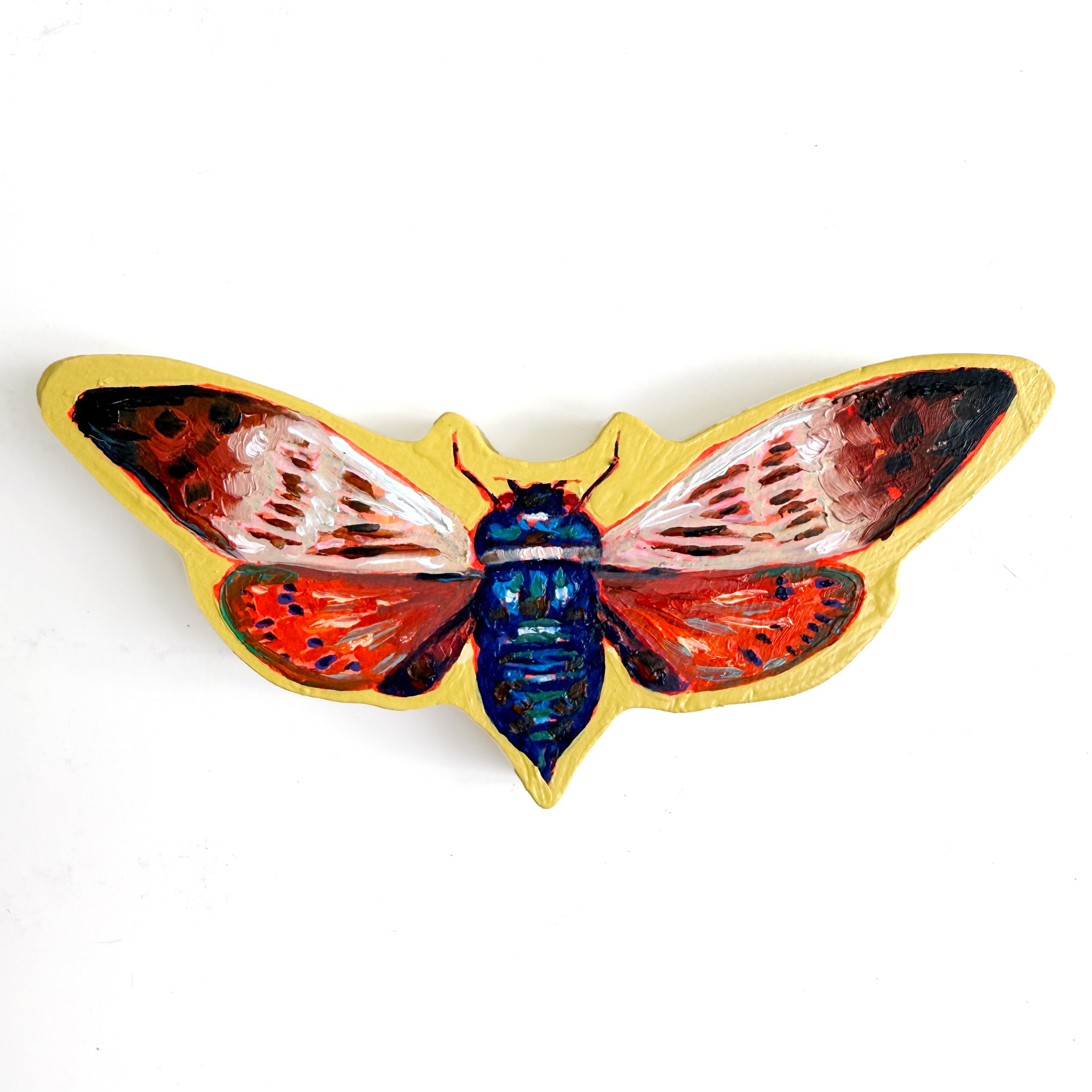 Butterfly Cicada