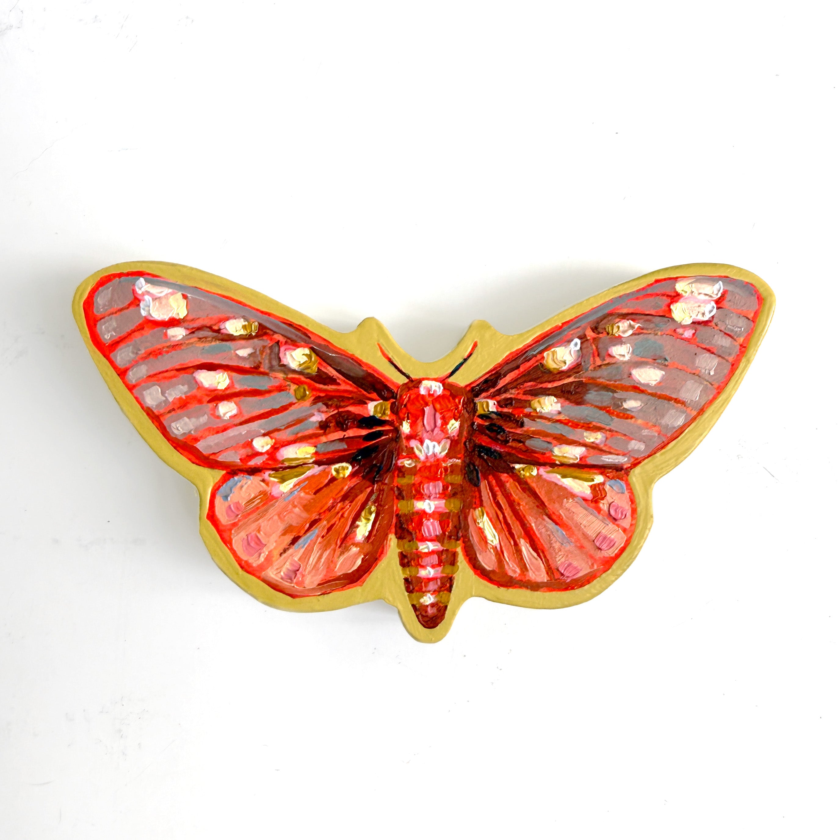 Saturn Moth