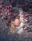 Forgotten Muse