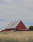 Harvest Day -Study