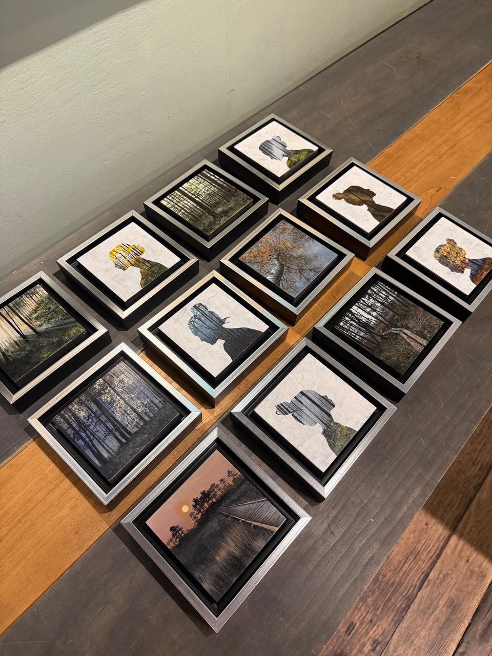 Look Deeper (Pine Forest)