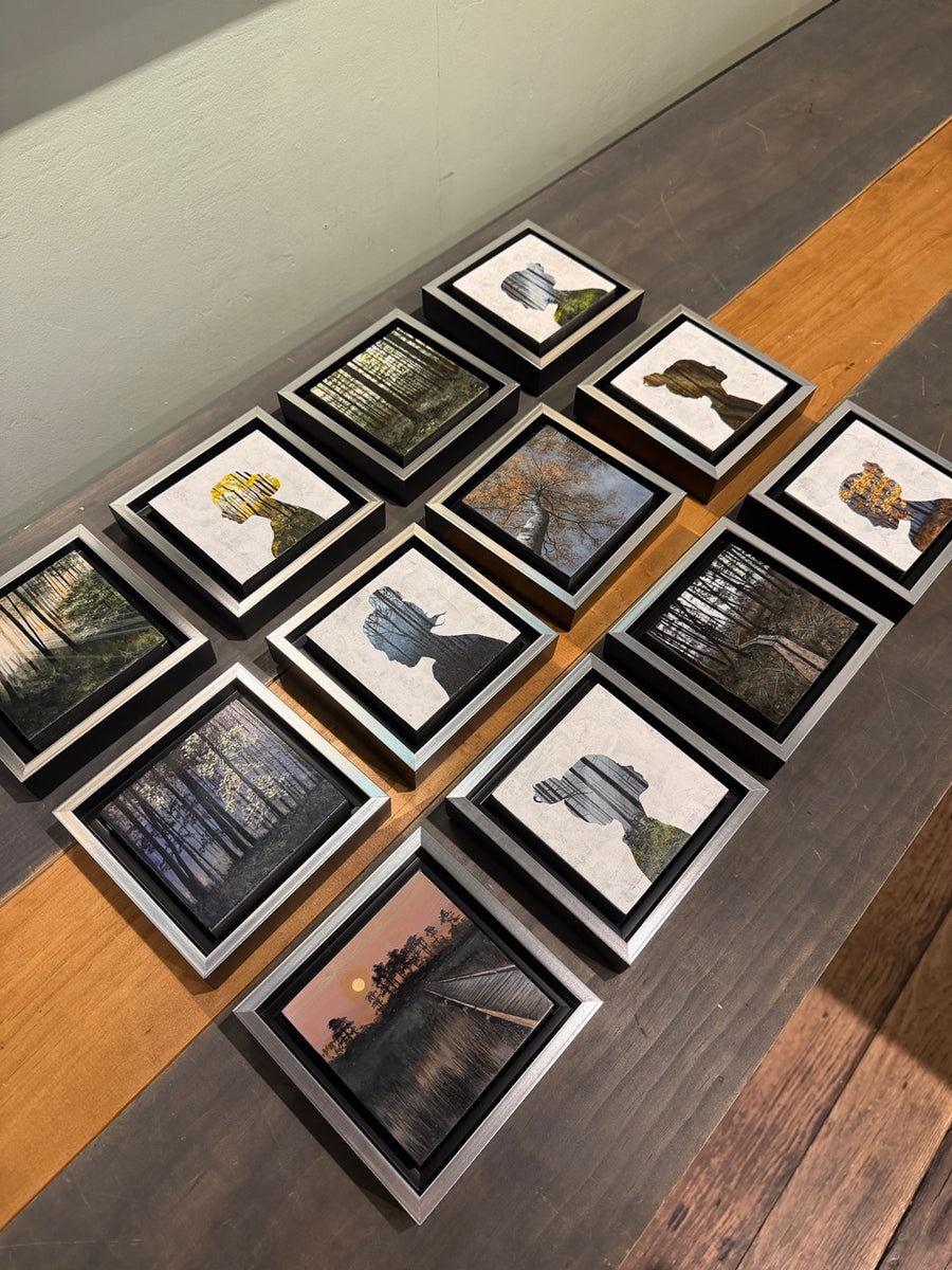 Look Deeper (Pine Forest)