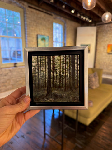 Look Deeper (Pine Forest)