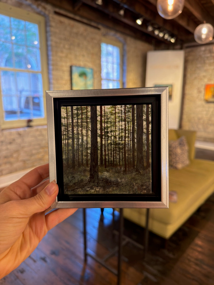 Look Deeper (Pine Forest)