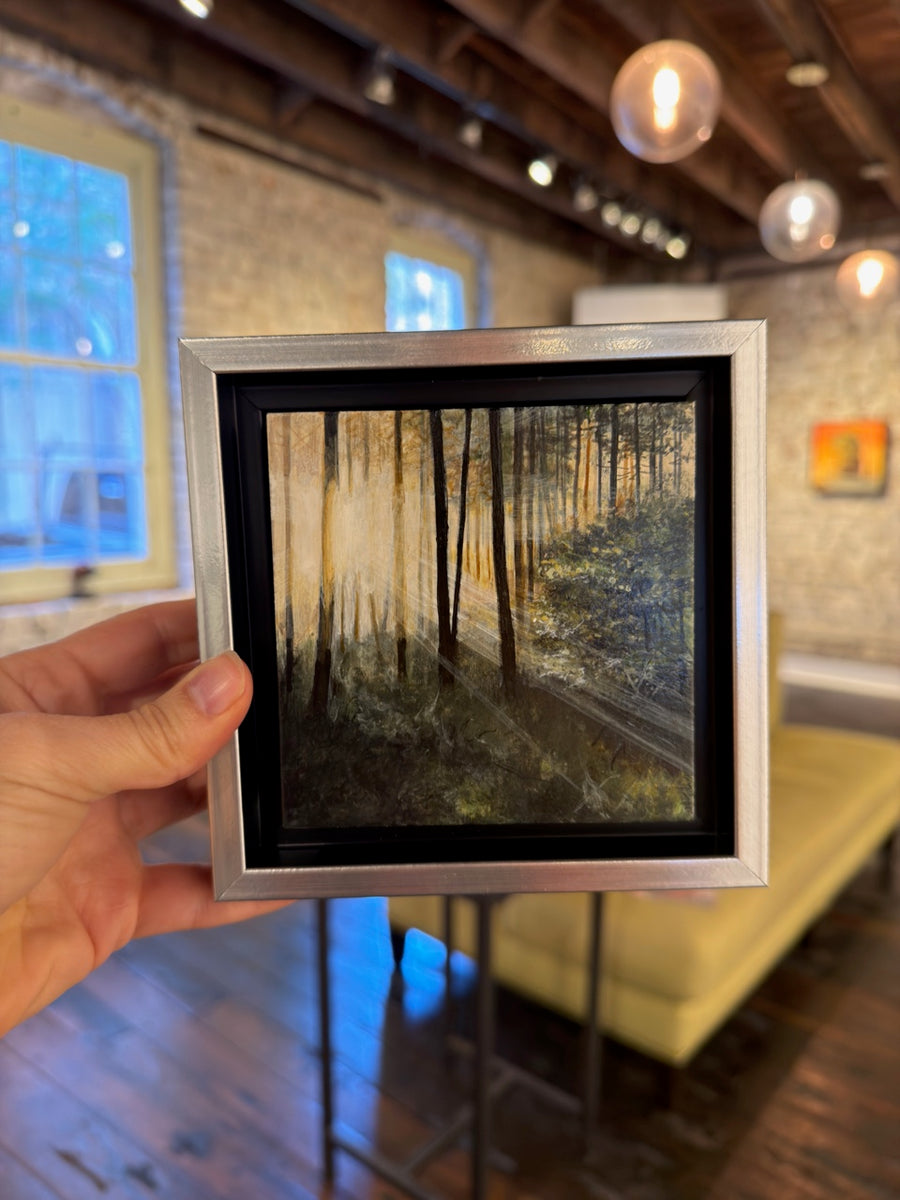 Look Deeper (Morning Glow)