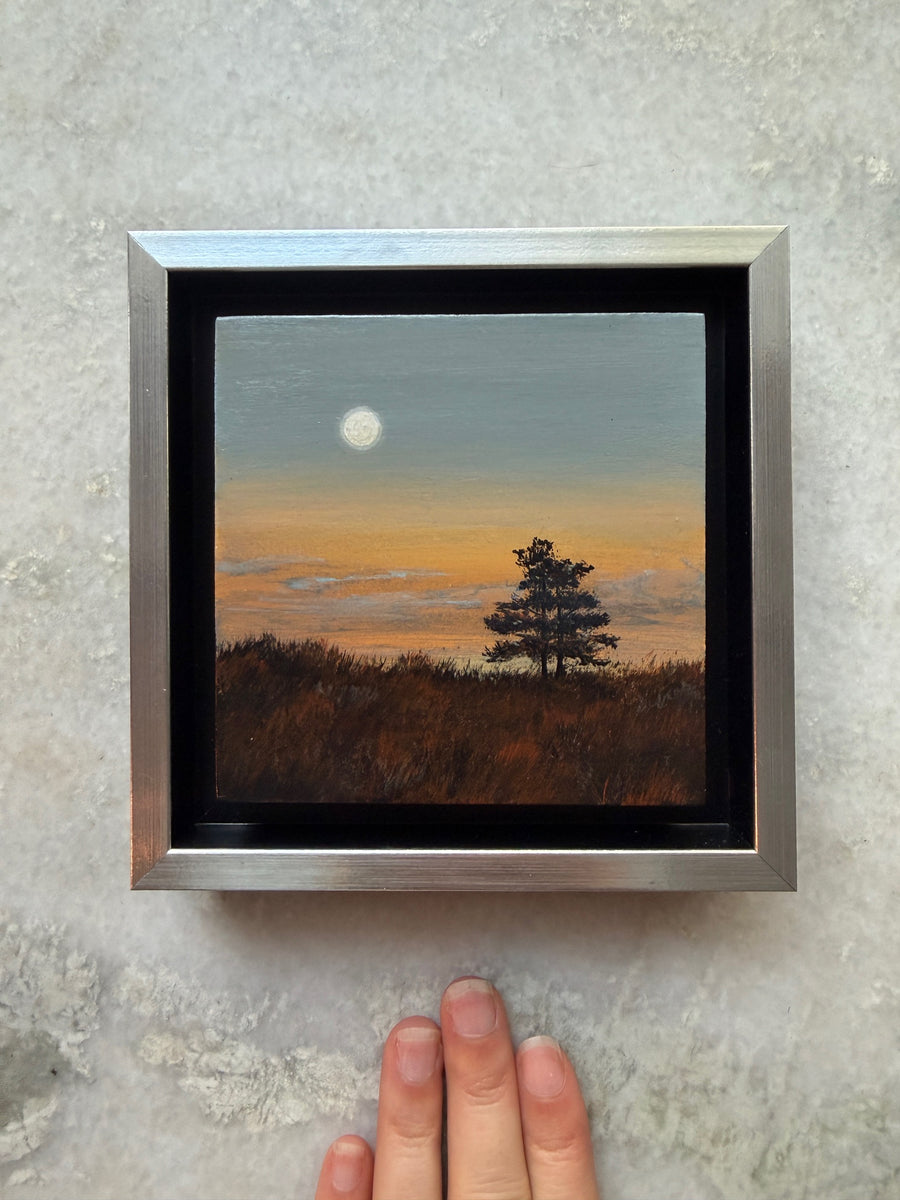 Look Deeper (Watching the World)