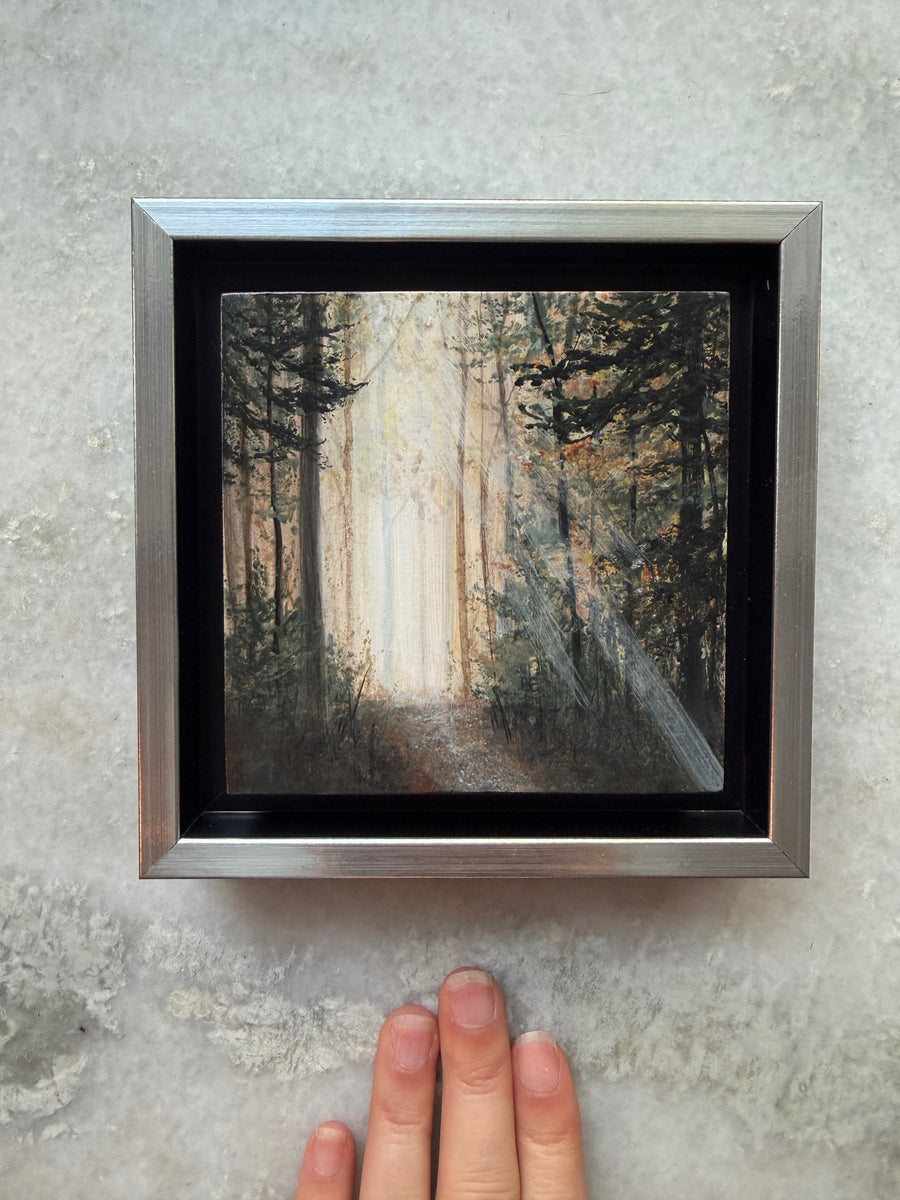 Look Deeper (Fall Setting In)