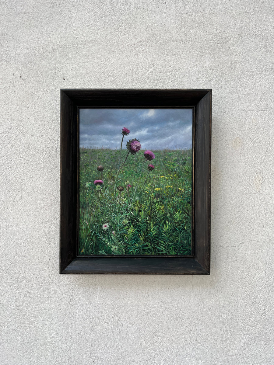 Purple Thistles