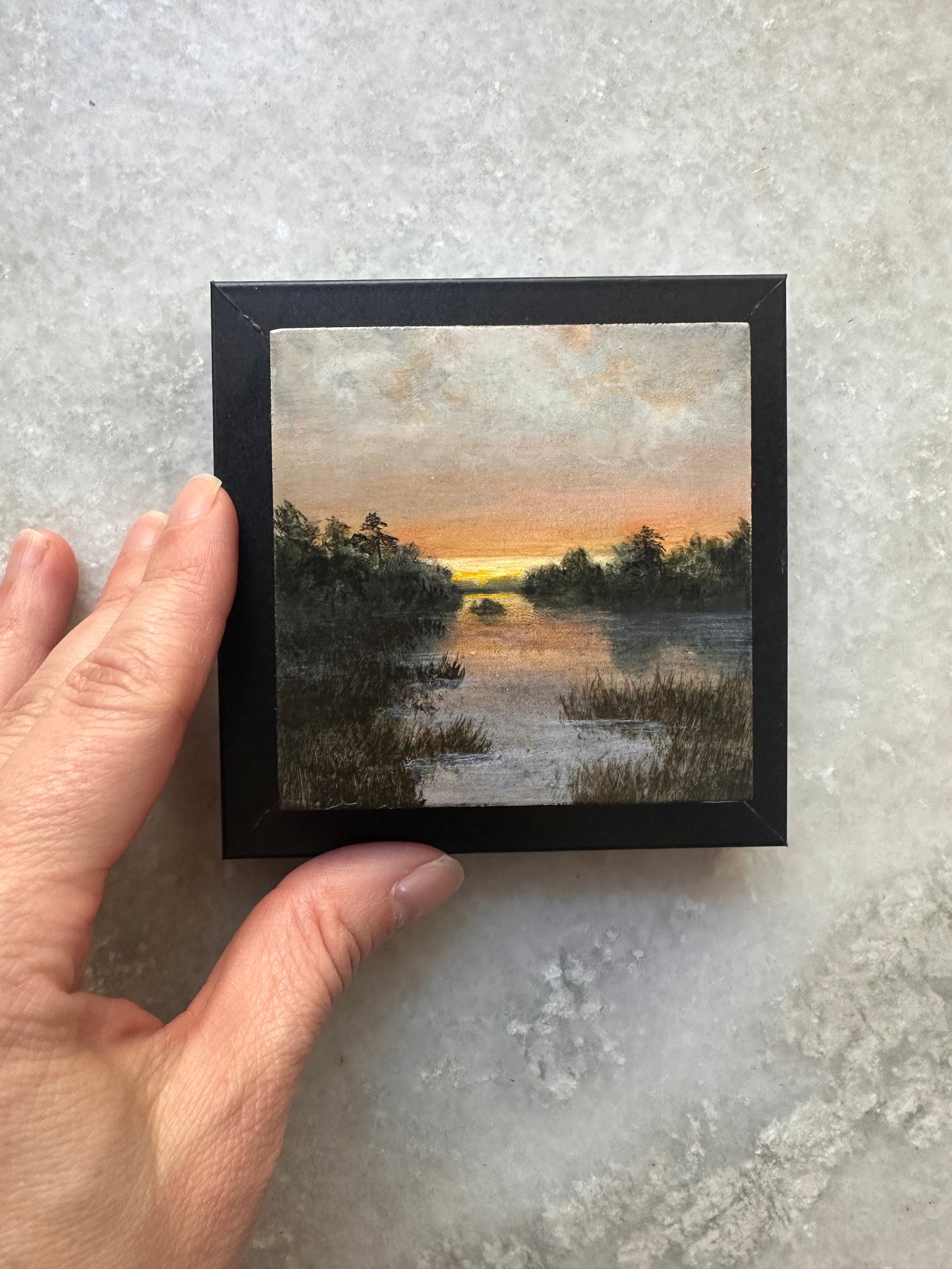 Tiny Window, Infinite Wild 6