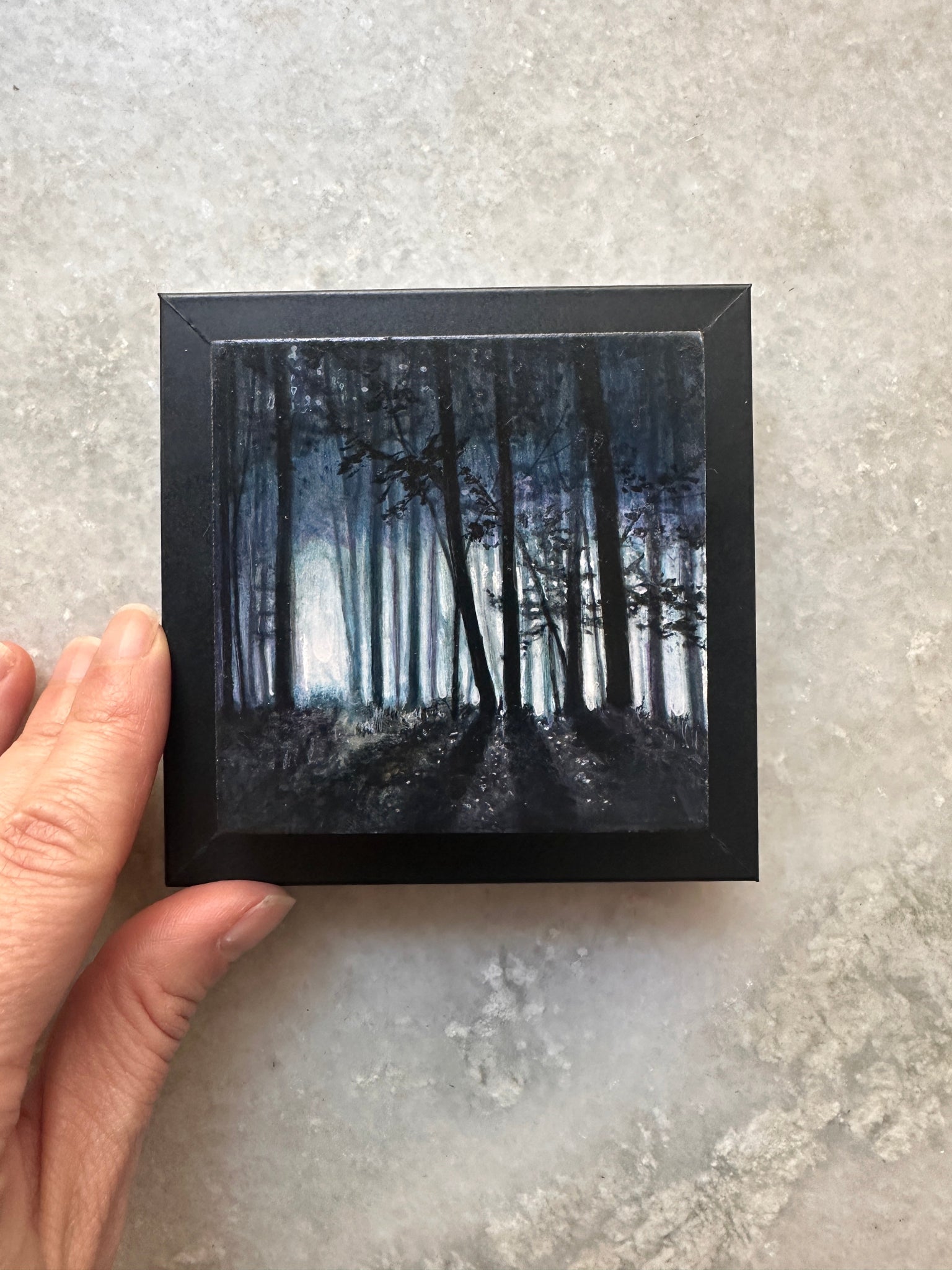 Tiny Window, Infinite Wild 2