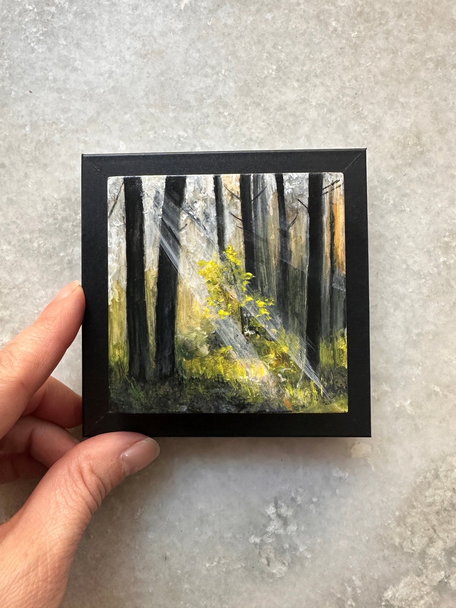 Tiny Window, Infinite Wild 5