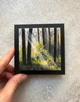 Tiny Window, Infinite Wild 5