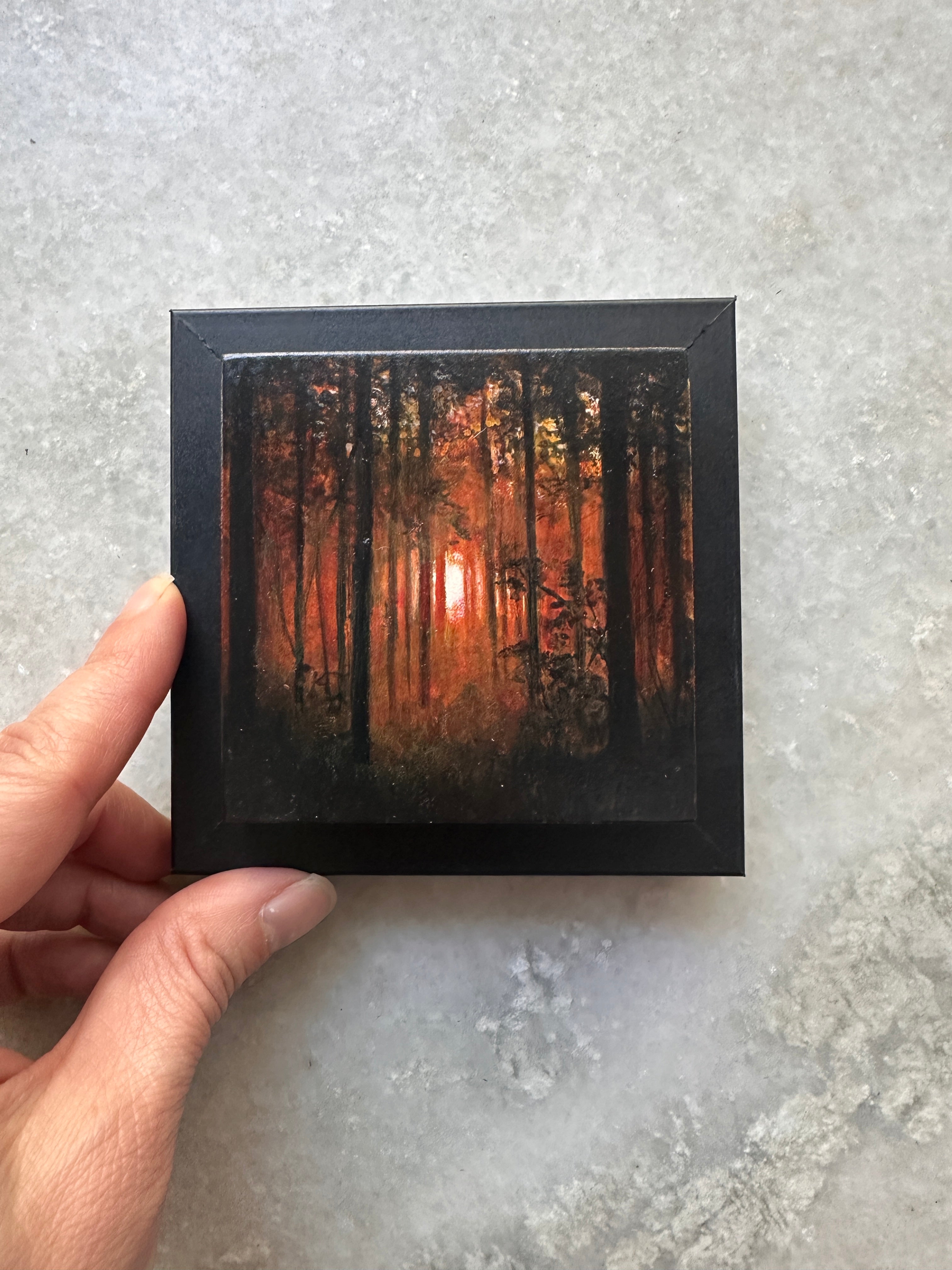 Tiny Window, Infinite Wild 4