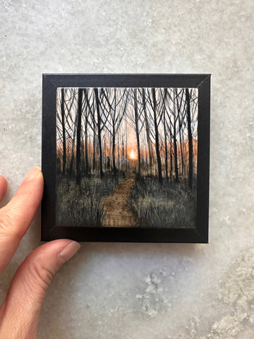 Tiny Window, Infinite Wild 1