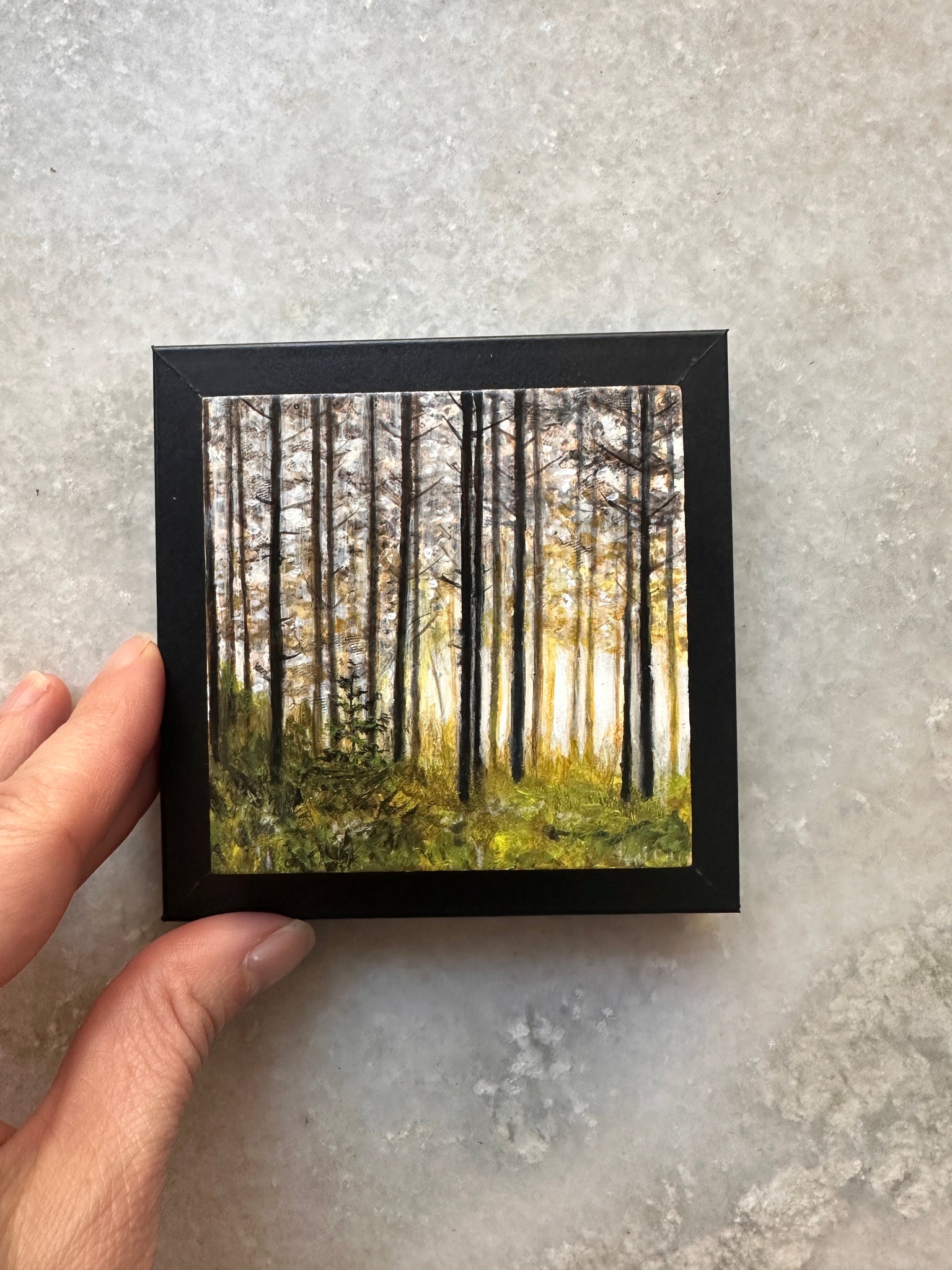 Tiny Window, Infinite Wild 3