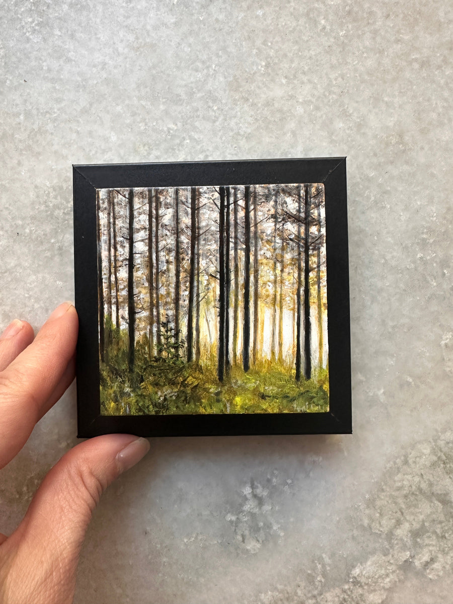 Tiny Window, Infinite Wild 3